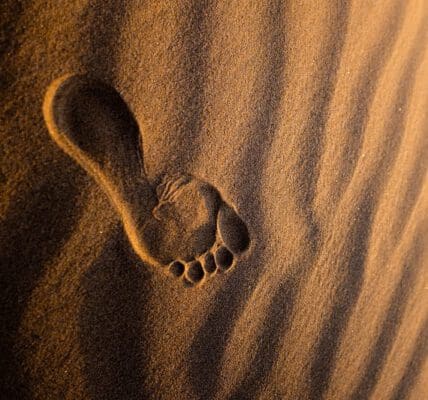 Odcisk stopy na piasku